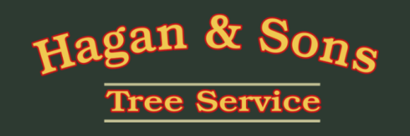 Hagan & Sons Tree Service: Hagan & Sons Tree Service