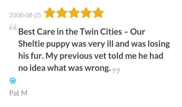 Sileo dose in cats dogs Sileo dose in cats dogs