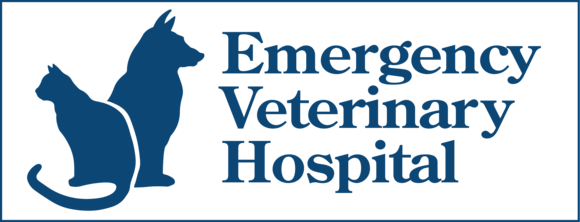 Emergency Veterinary Hospital: Home
