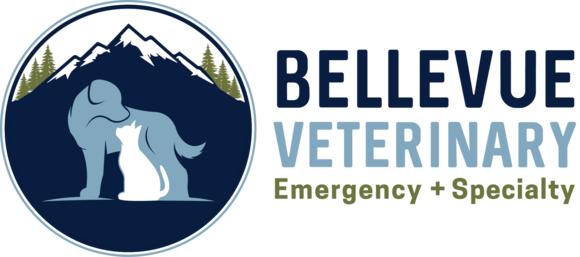 Bellevue Veterinary Emergency & Specialty: Home