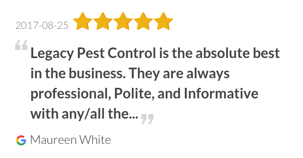 Arborjet Tree Injections For Insects And Diseases Legacy Pest Control