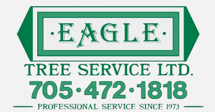 Eagle Tree: Home