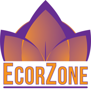 EcorZone, LLC: EcorZone, LLC