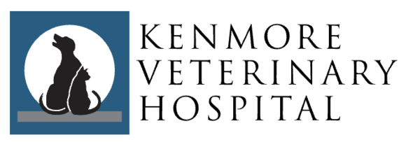 Kenmore Veterinary Hospital: Home