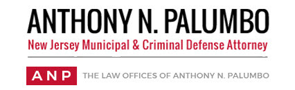 The Law Offices of Anthony N. Palumbo: Home