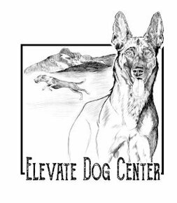 Elevate Dog Center: Home