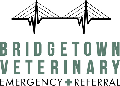 Bridgetown Veterinary Emergency and Referral: Home