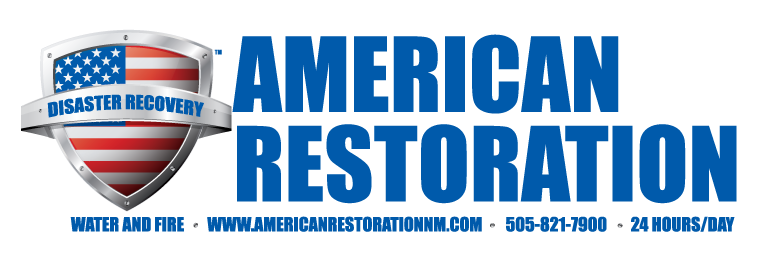 Staying In A House With Black Mold - Americon Restoration