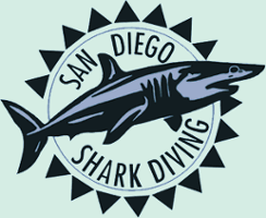 San Diego Shark Diving Expeditions: Home