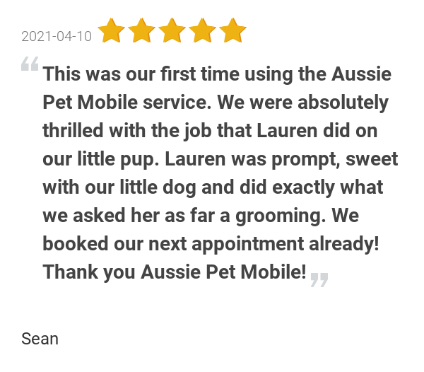 Aussie Pet Grooming Cost