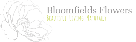 Bloomfields Flowers: Home