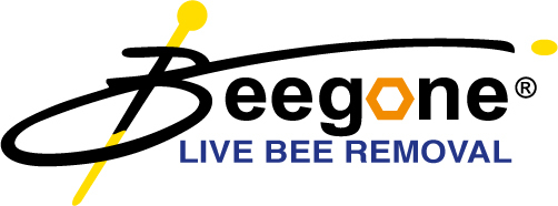 Beegone: Home